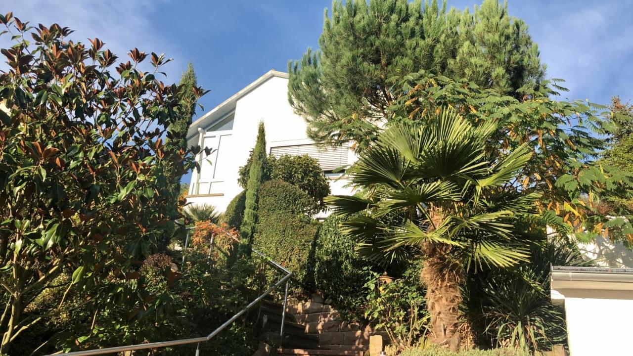 Ferienwohnung Palmenalm Bad Orb Exterior foto